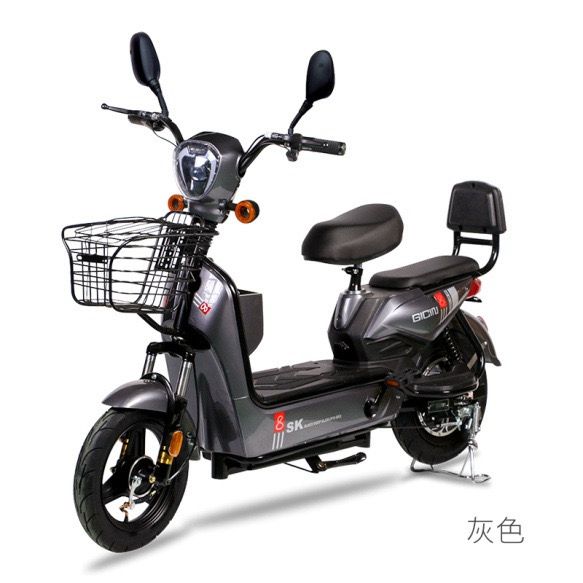 Electric Bike Adult